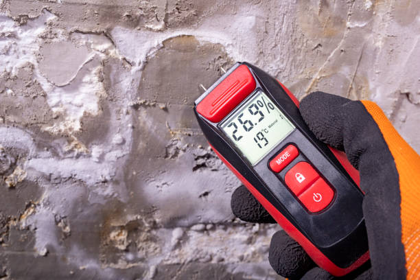 Best Mold Remediation for Specific Building Types in Uniontown, AL