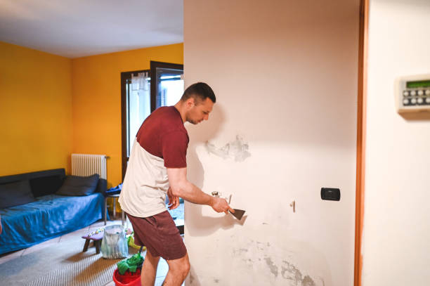 Best DIY Mold Remediation Support Services in Uniontown, AL